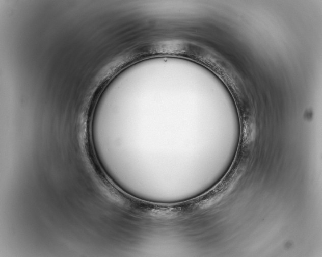 X0000103260725200809191718