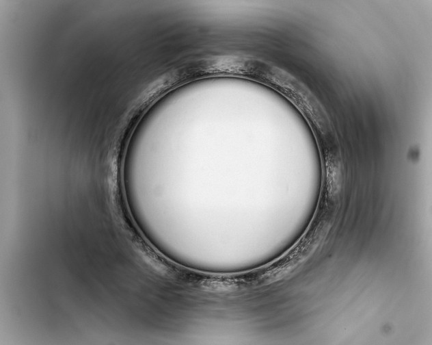 X0000103260729200809191718