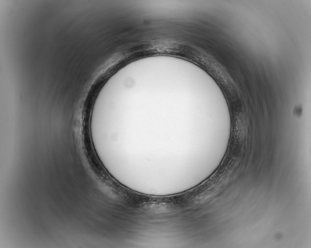 X0000103260730200809191718