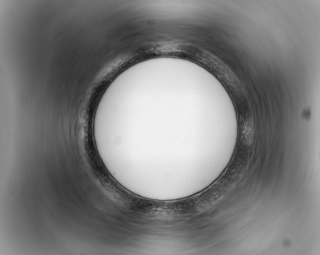 X0000103260732200809191718