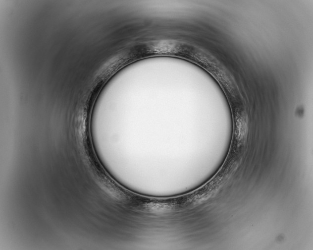 X0000103260733200809191718