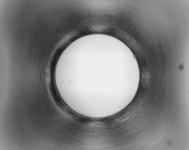 X0000103260734200809191718