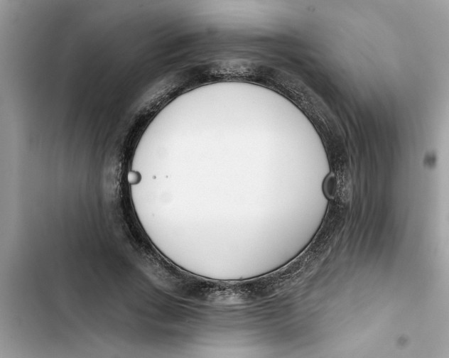 X0000103260735200809191718