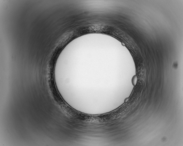 X0000103260738200809191718