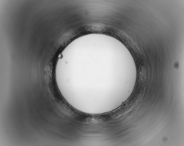 X0000103260739200809191718