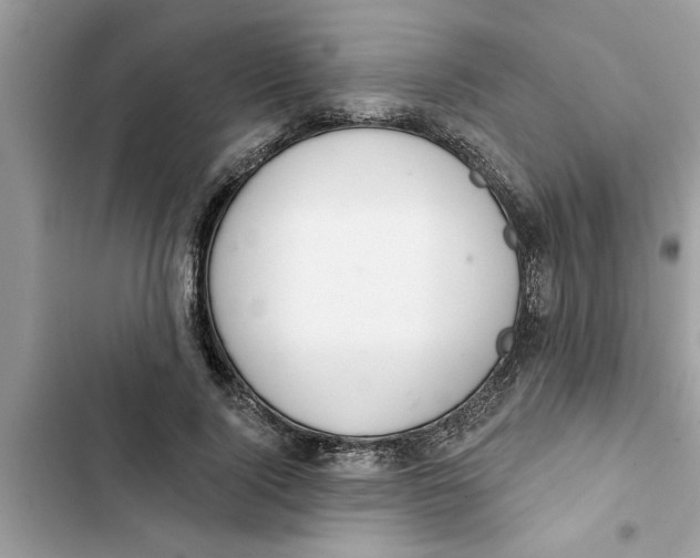 X0000103260740200809191718