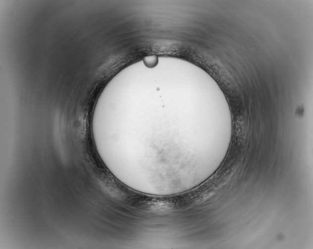 X0000103260741200809191718