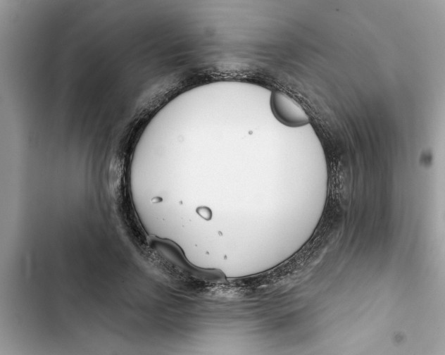 X0000103260742200809191718