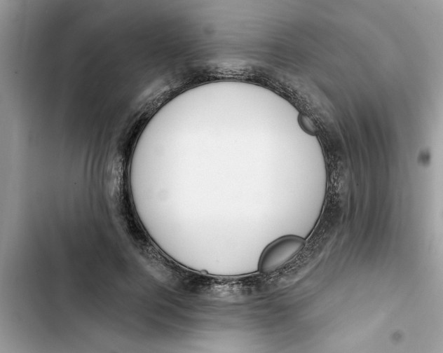 X0000103260744200809191718