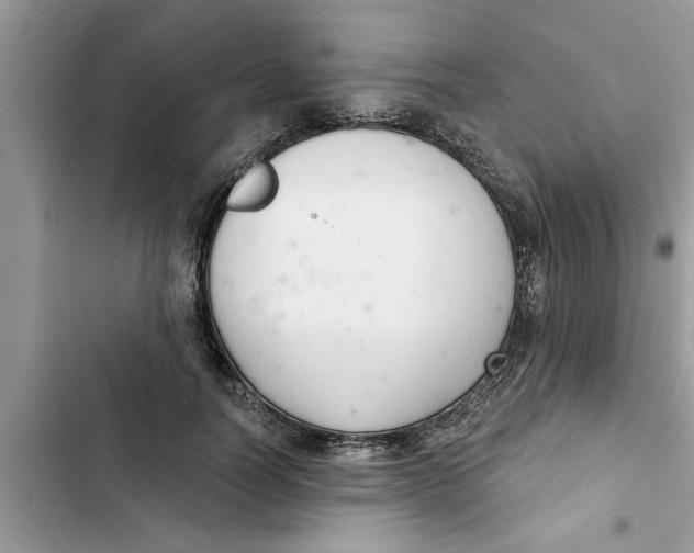 X0000103260746200809191718