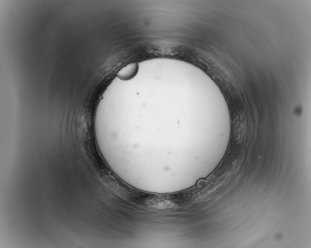 X0000103260747200809191718