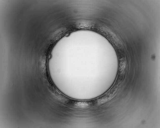 X0000103260749200809191718