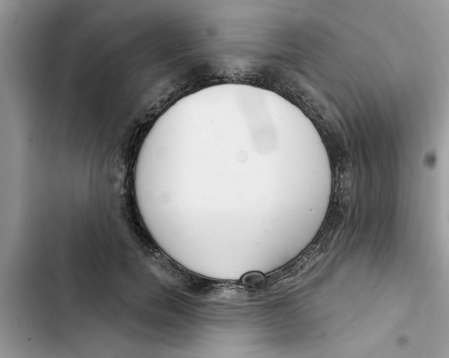 X0000103260750200809191718