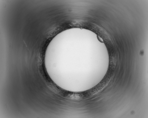 X0000103260751200809191718