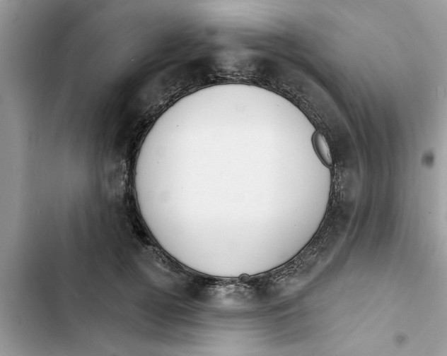 X0000103260752200809191718