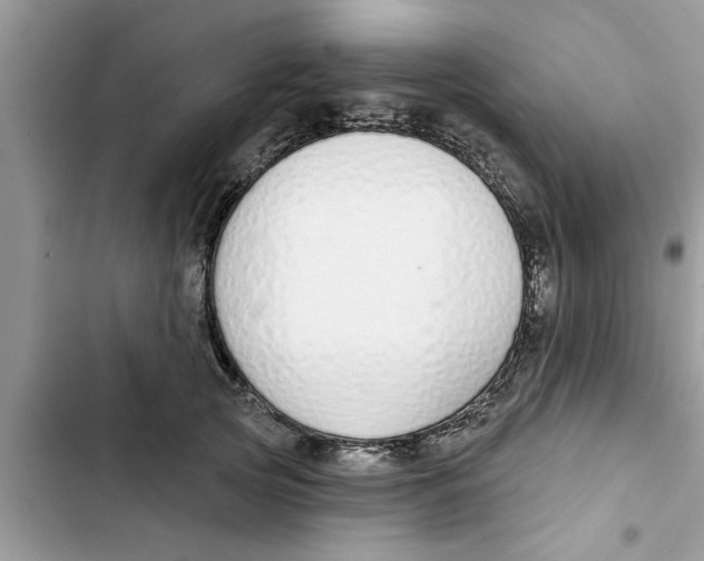 X0000103260753200809191718