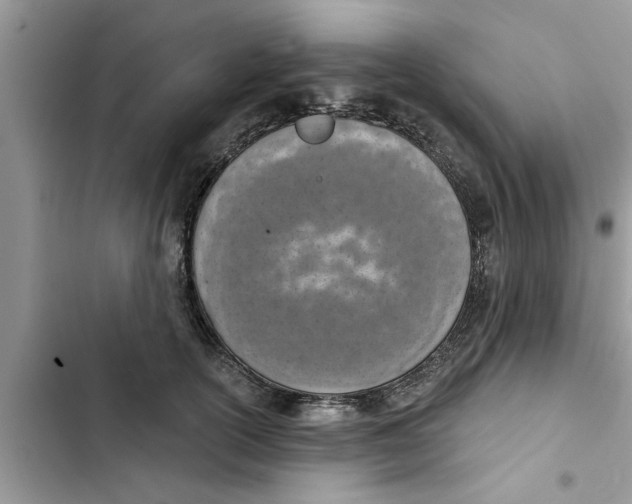 X0000103260754200809191718