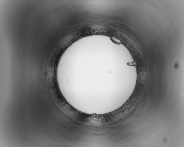 X0000103260756200809191718