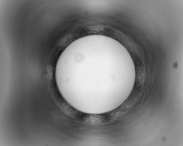 X0000103260758200809191718