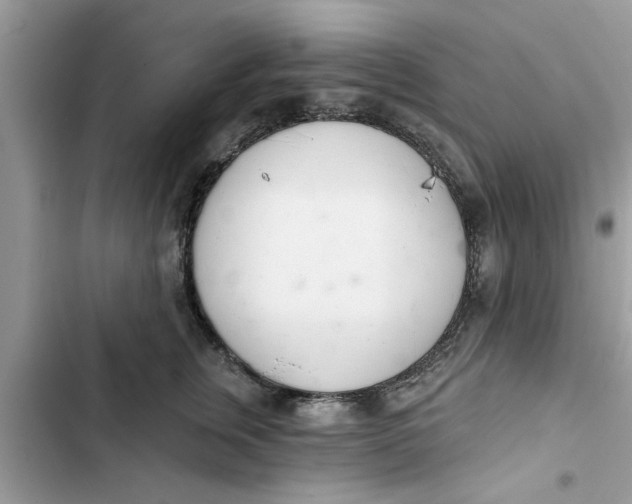 X0000103260759200809191718