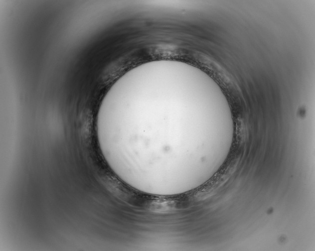 X0000103260760200809191718