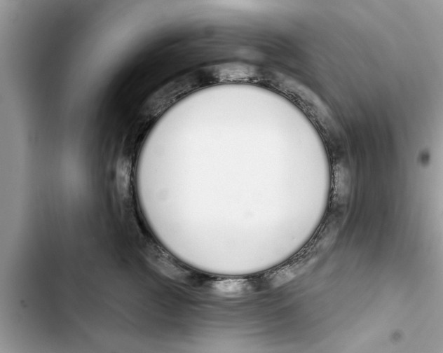 X0000103260761200809191718