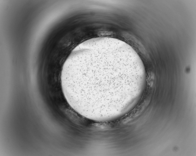 X0000103260763200809191718