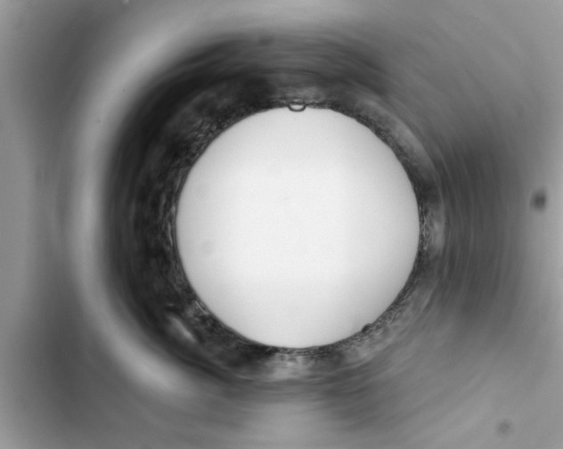 X0000103260764200809191718