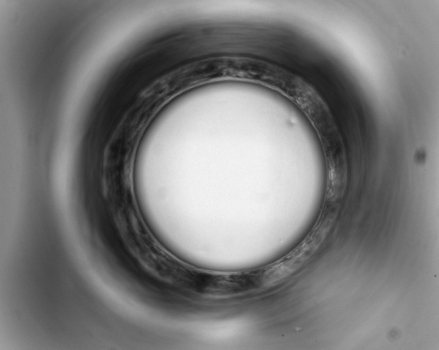 X0000103260765200809191718