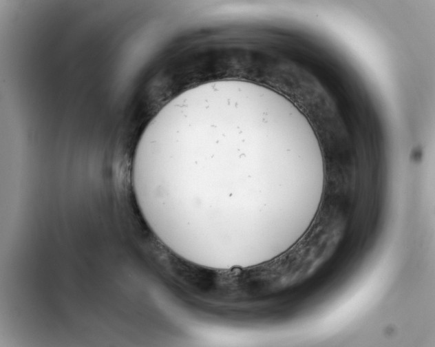 X0000103260766200809191718