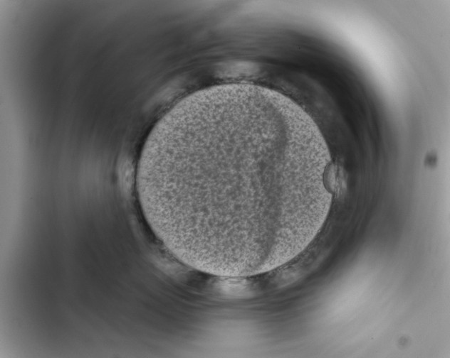 X0000103260767200809191718