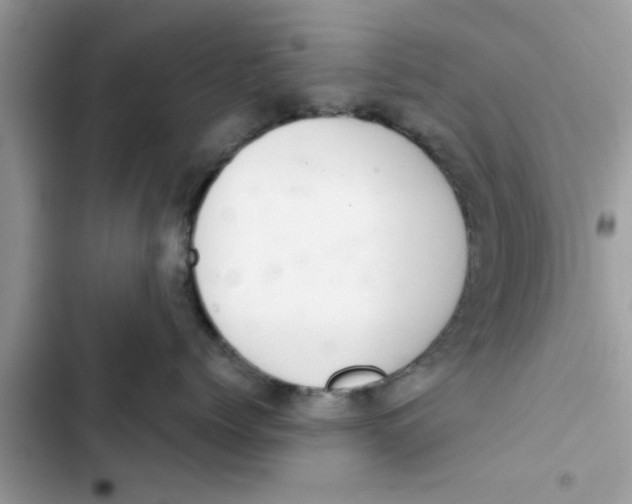 X0000103260768200809191718