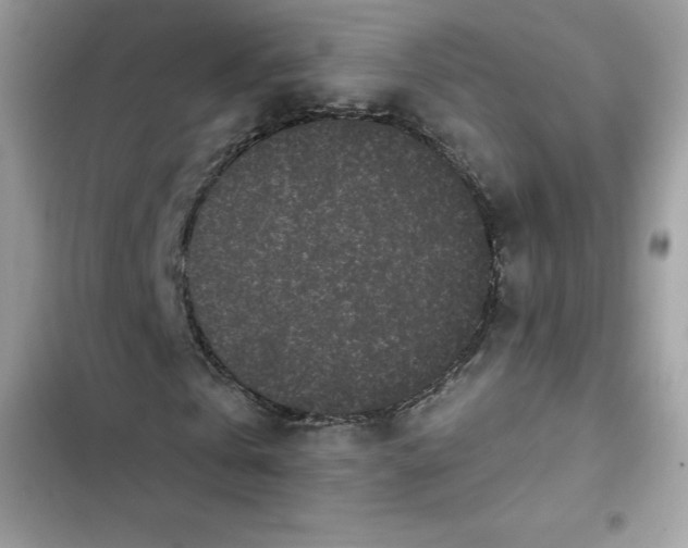 X0000103260769200809191718