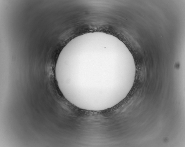 X0000103260770200809191718