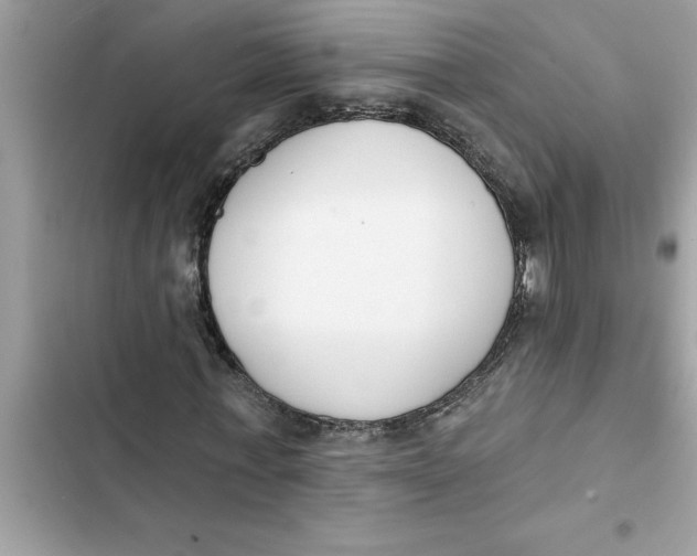 X0000103260771200809191718