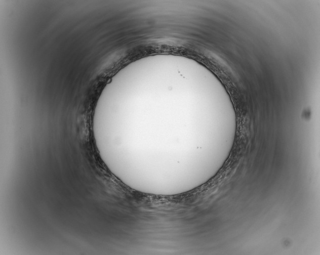 X0000103260774200809191718