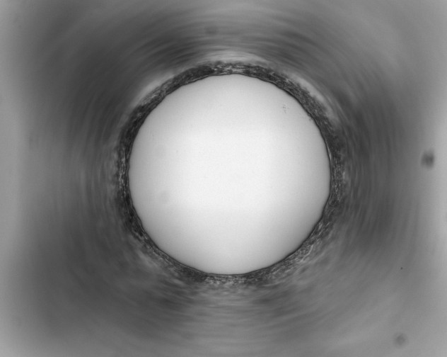 X0000103260775200809191718