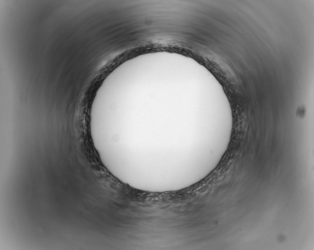 X0000103260776200809191718