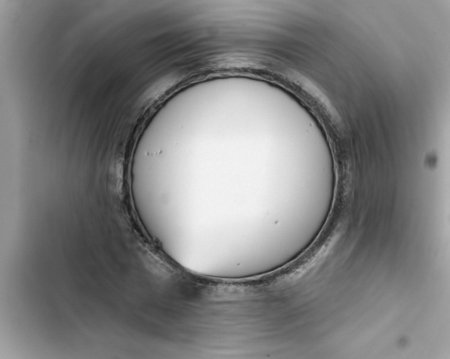 X0000103260777200809191718