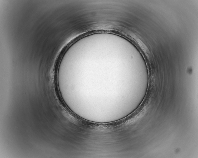 X0000103260779200809191718