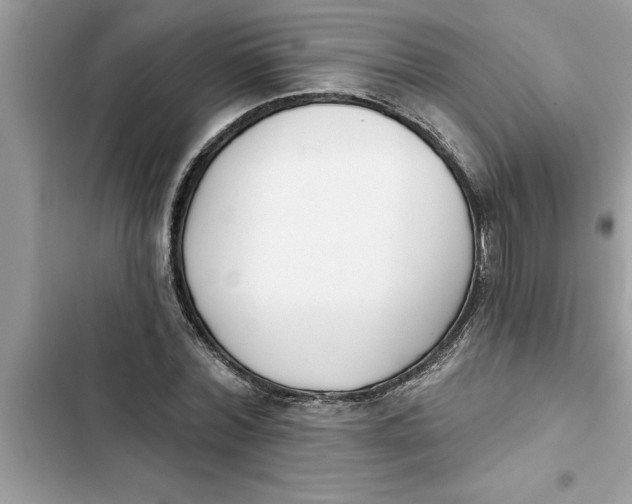 X0000103260780200809191718