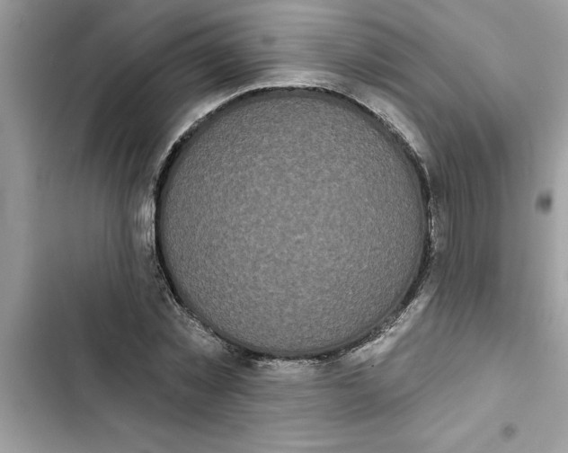 X0000103260781200809191718