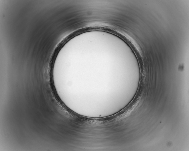 X0000103260783200809191718