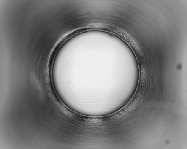 X0000103260784200809191717