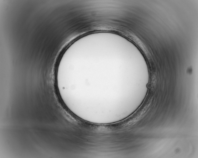 X0000103260787200809191717