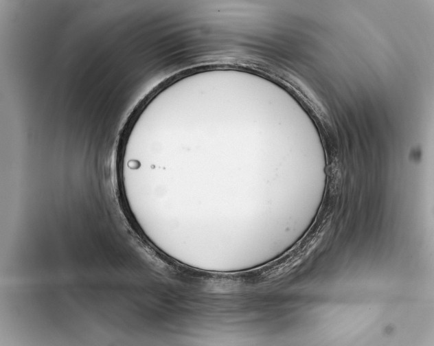 X0000103260788200809191717