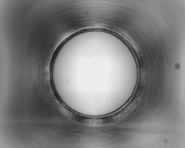 X0000103260789200809191717