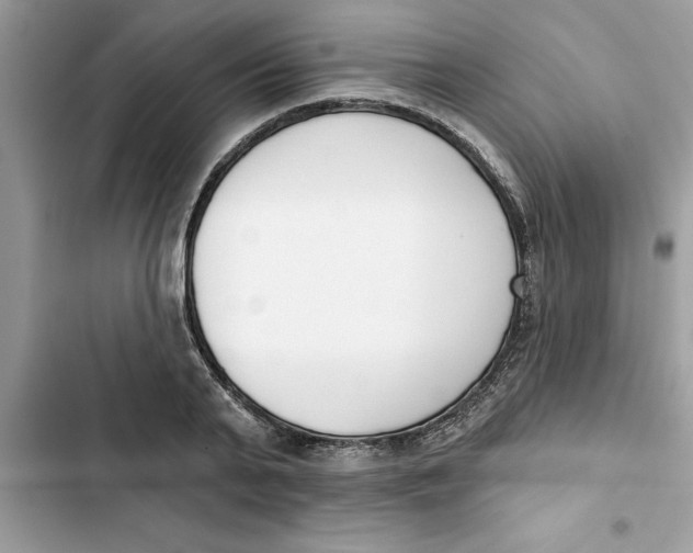 X0000103260791200809191717