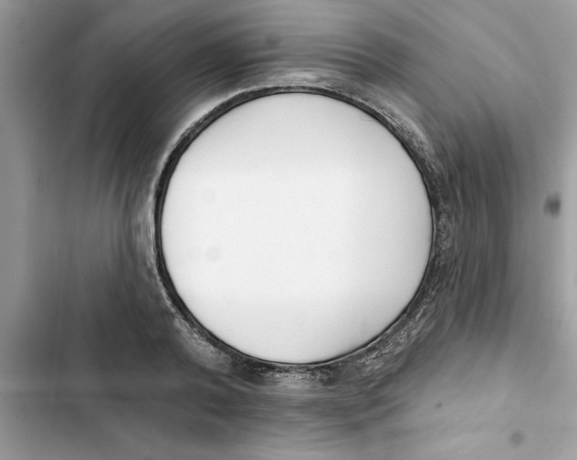 X0000103260792200809191717