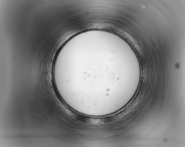 X0000103260794200809191717